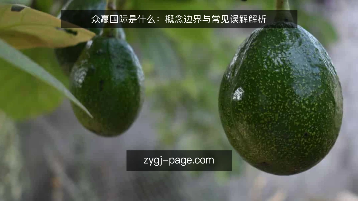 众赢国际是什么:概念边界与常见误解解析